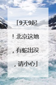 9天9起！北京这地，有蛇出没，请小心