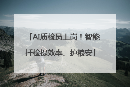 AI质检员上岗！智能扦检提效率、护粮安