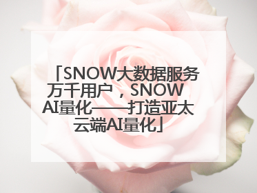 SNOW大数据服务万千用户，SNOW AI量化——打造亚太云端AI量化